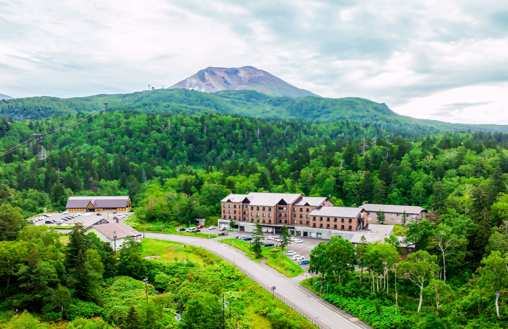 【ここにしかない景色】重厚な建物と初夏を感じる涼しげな半夏生が群生