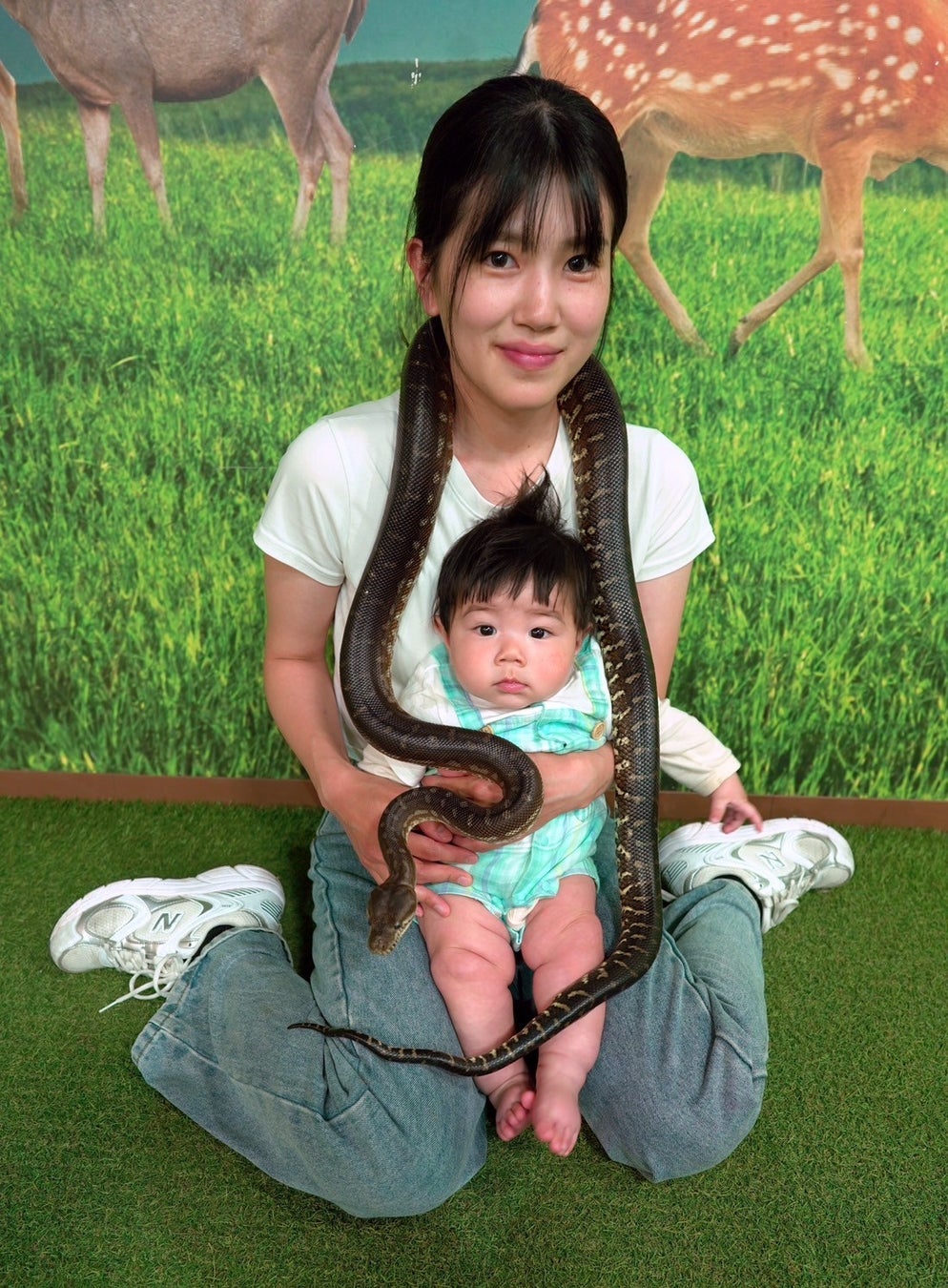 【奈良いきものミュージアム】累計来場者 27 万⼈突破、ファミリー層から⽀持を集める施設へ！2周年の節⽬に、⼈気企画「セントラルパイソンとのチェキ撮影」が常設展⽰として復活