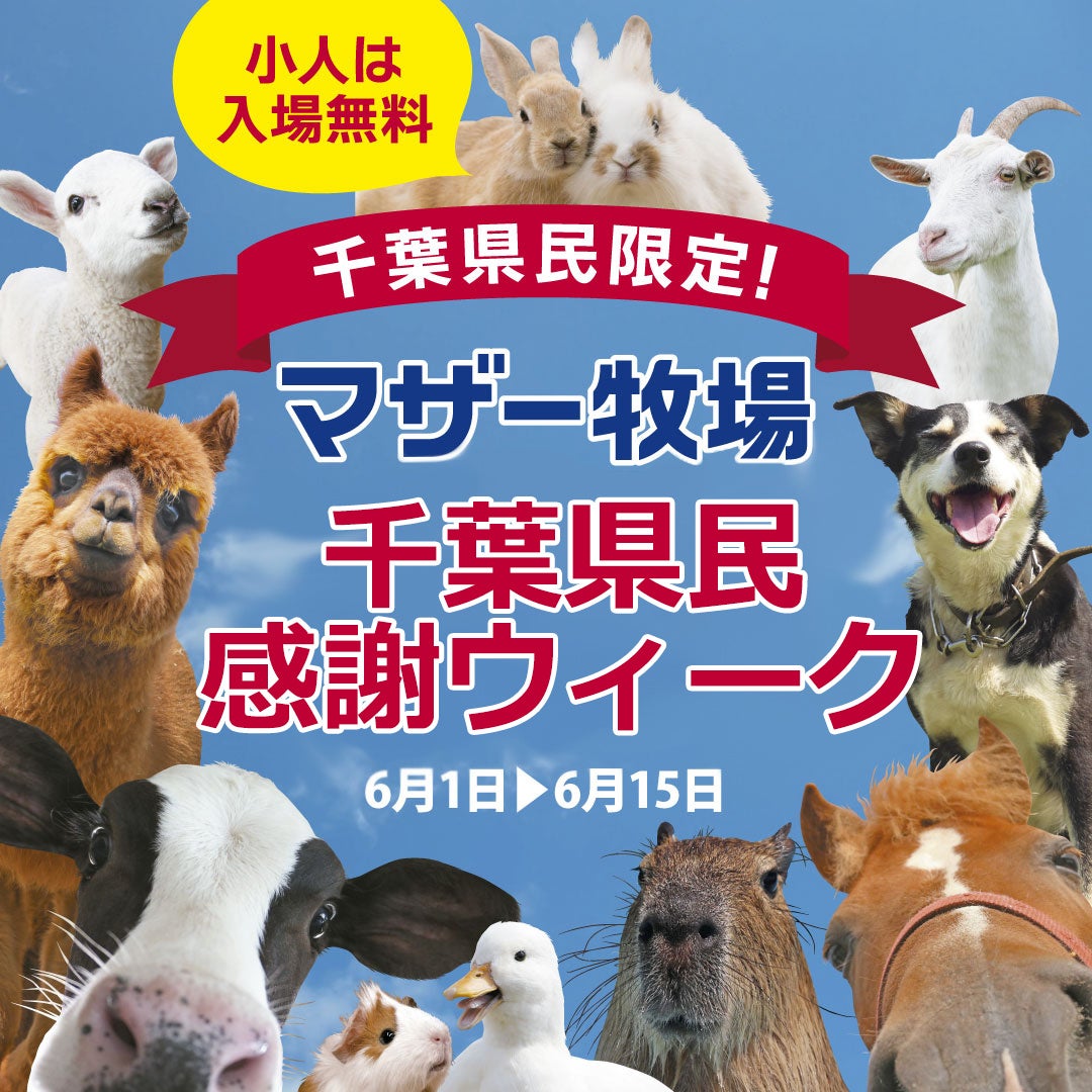 新感覚の“体験型”ホステル「GRAND HOSTEL LDK 東京西葛西」5月28日開業