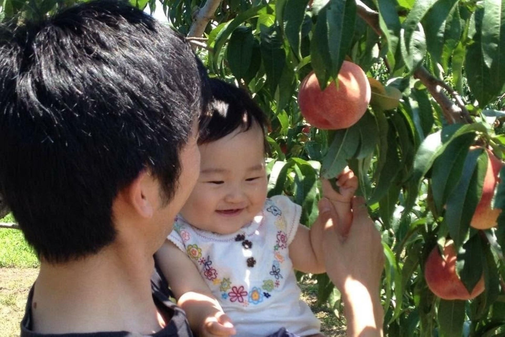 横浜ベイクォーター 夏の風物詩イベント「横浜ランタンナイト」を2025年5月31日(土)〜 9月15日(月・祝)開催!