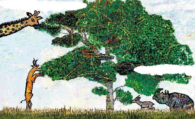 生物多様性について楽しく学ぶ２日間！絵本『こうして、ともにいきている』読み聞かせイベントを開催