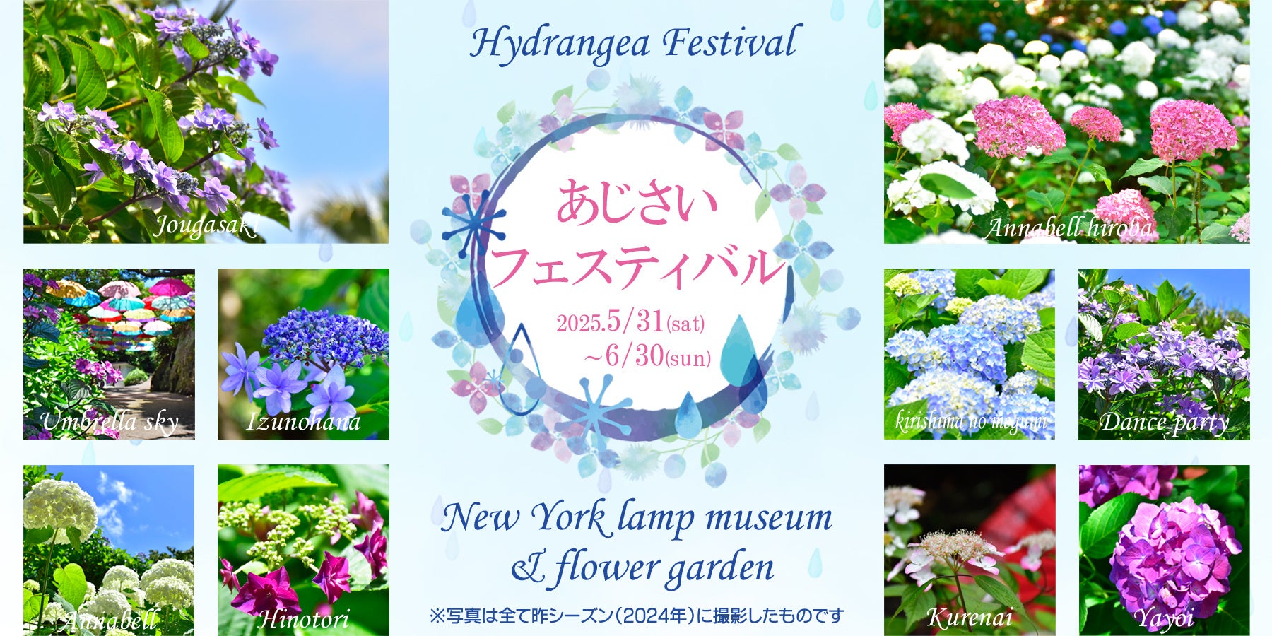 ニューヨークランプミュージアム＆フラワーガーデン「あじさいフェスティバル」2025年5月31日(土) ～6月30日（月）開催