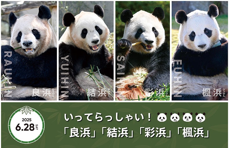 ４頭のジャイアントパンダの帰国日が決定しました