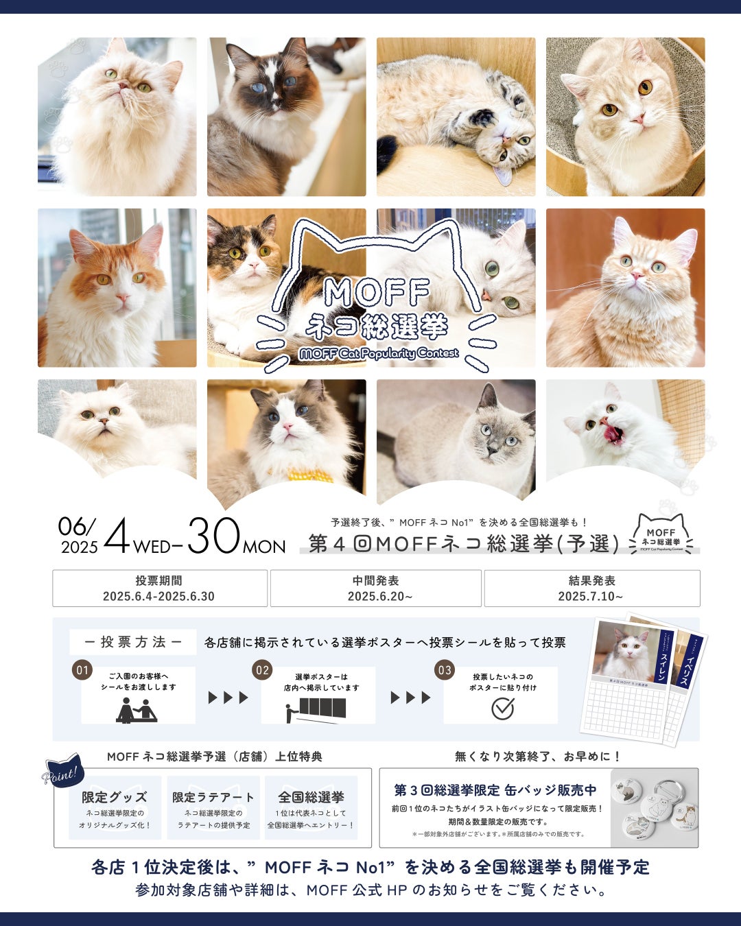 第4回「MOFF ネコ総選挙」の予選開催決定！総勢760頭！？