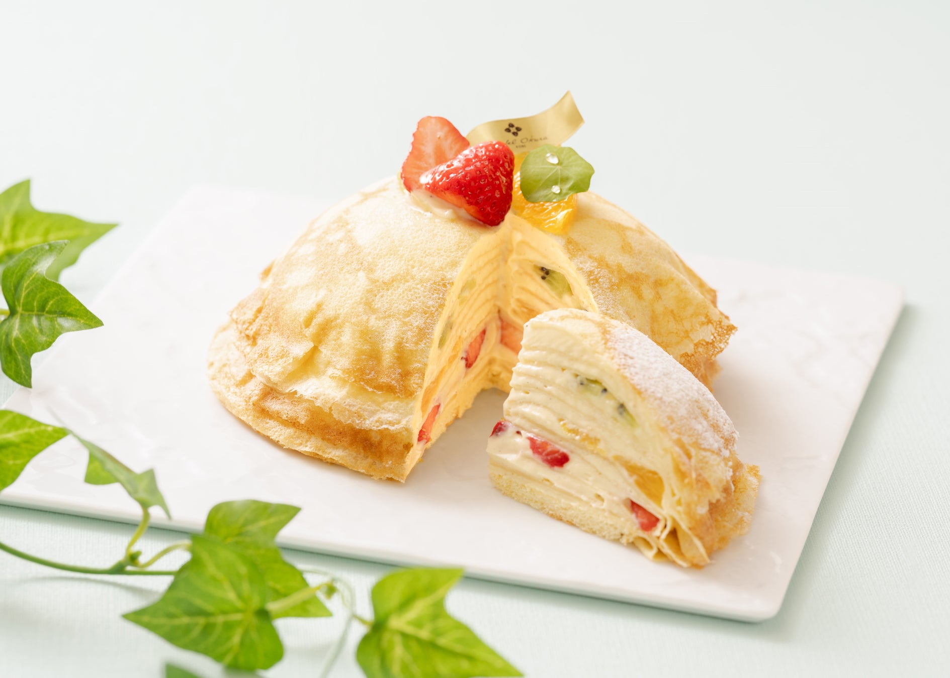 AOAO SAPPORO、標茶町(しべちゃちょう)と連携し天然記念物「キタサンショウウオ」の保全活動への協力を開始