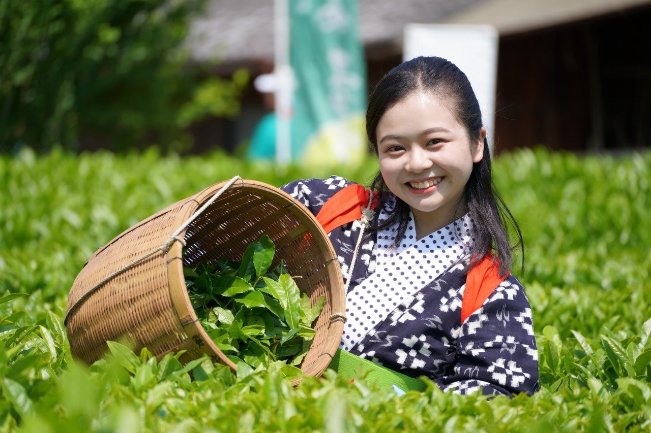 第20回世界バラ会議福山大会2025において ローザンベリー多和田「バラと宿根草の庭」が優秀庭園賞を受賞しました‼