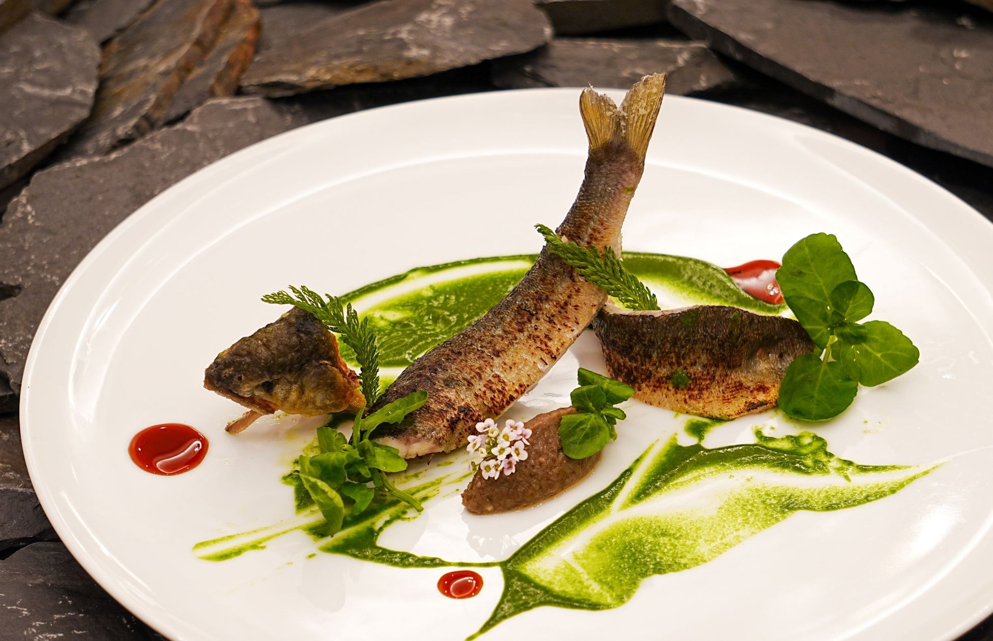 「第34回 YOSAKOIソーラン祭り」に初協賛！大通公園西６丁目会場にてステージイベントを実施