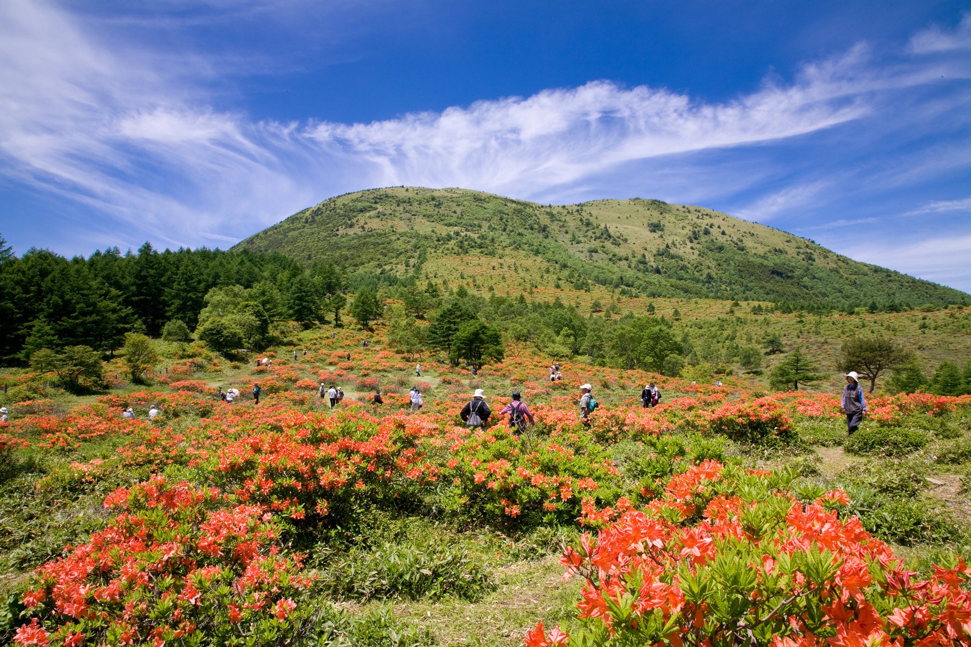 2年ぶり、新アトラクションオープンのおしらせ！夏の暑さを吹き飛ばす恐怖！2025年7月18日（金）新お化け屋敷オープン
