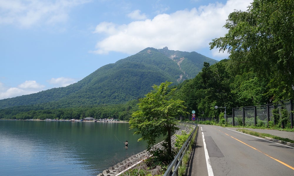 六甲高山植物園×伊丹市昆虫館 夏イベント「しょくぶつとむし」開催決定！