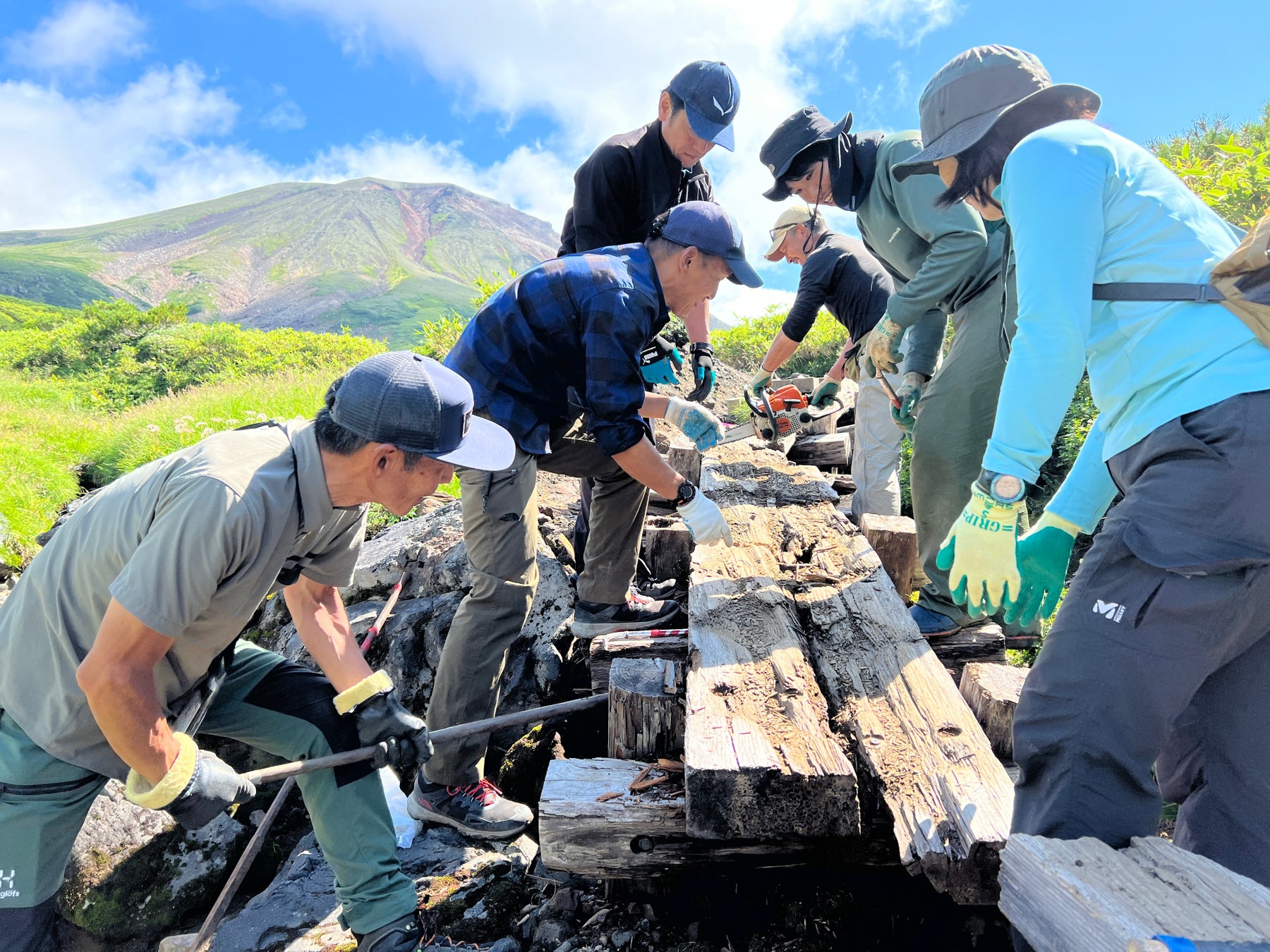 大雪山の貴重なお花畑を守りたい!　第4弾・最終年!
