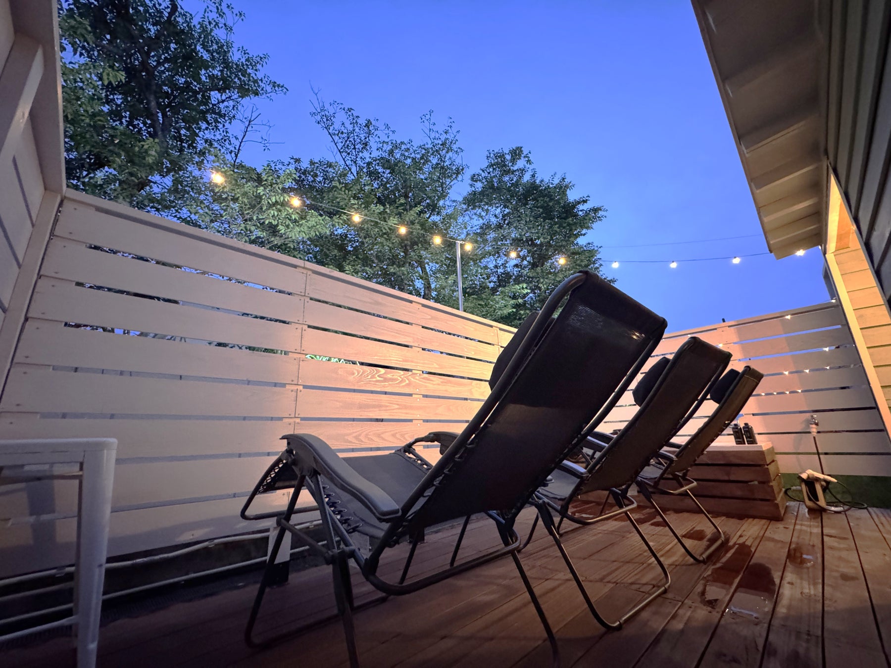 【広島/世羅】ばらが見ごろを迎えています ローズ&フラワーガーデン《そらの花畑高原花の森》