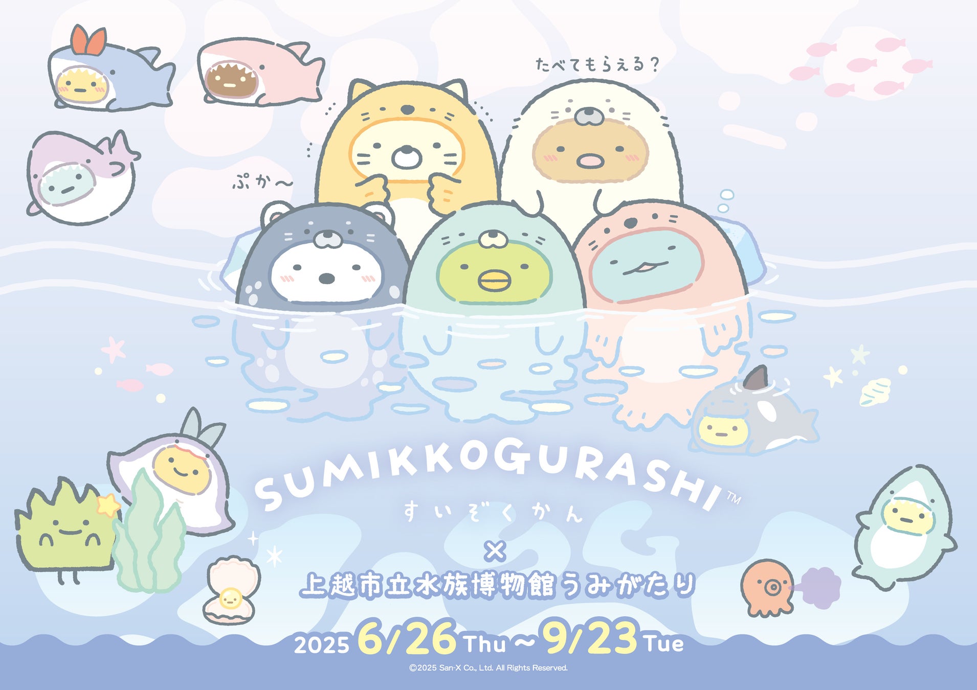 石垣島で“泡盛の旅”を一杯から 6酒造の泡盛を“島人(しまんちゅ)流”で飲み比べ体験