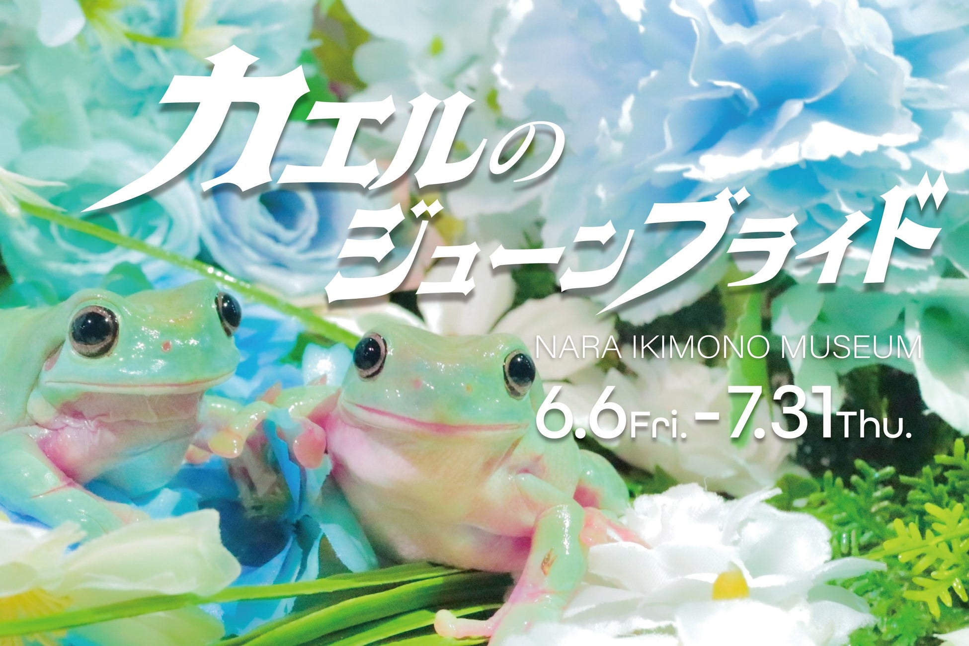 自転車パーツブランド「GORIX」が新商品の、ボトルケージホルダー(PLUS1)のXプレゼントキャンペーンを開催!!【〜6/9(月)AM11:59まで】