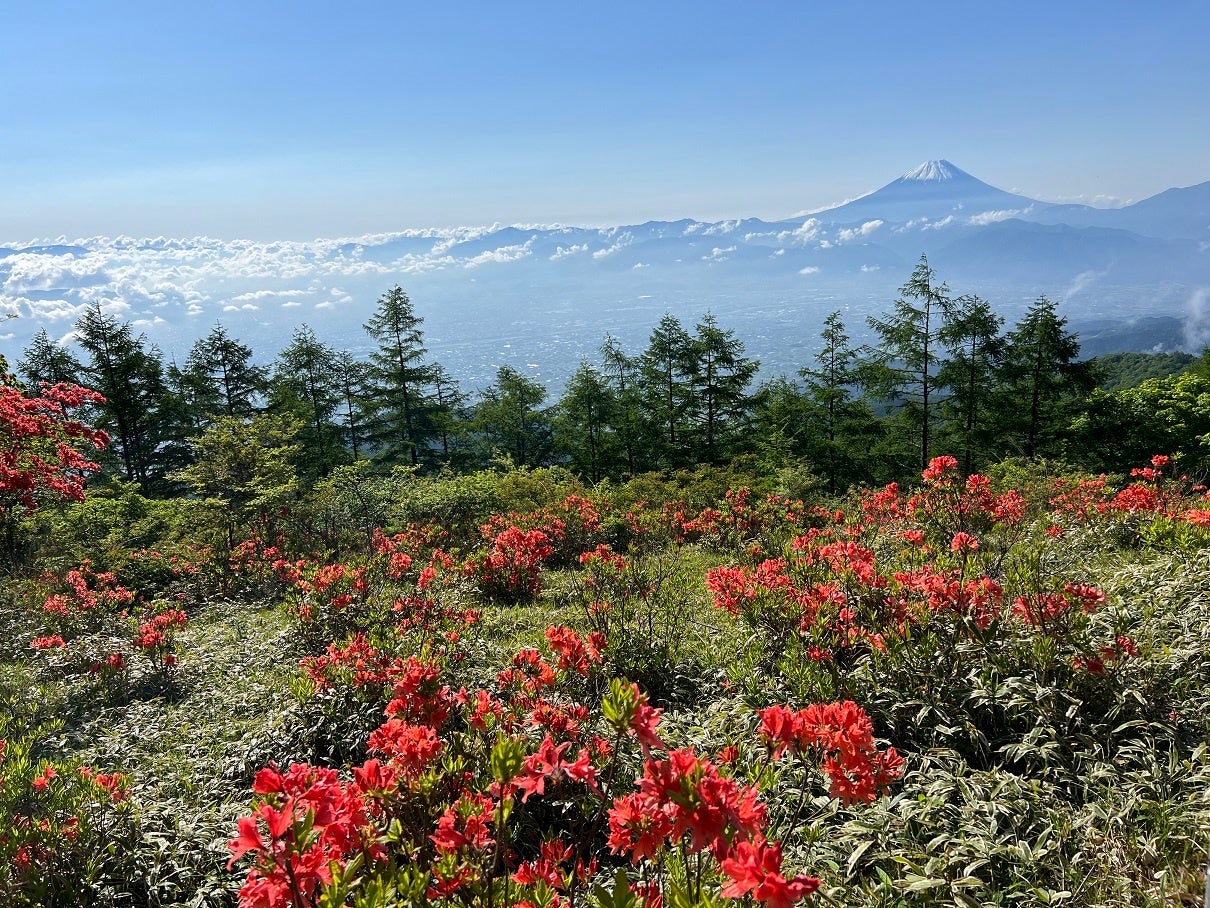【おそ松さん×ホテル湖龍】働く6つ子と過ごす、没入型宿泊プランを期間限定で開催!