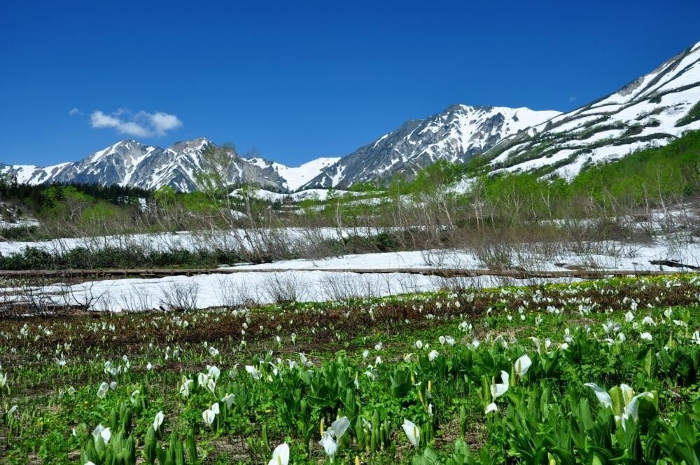 【星のや軽井沢】紅葉の中で心身の調和と上質な睡眠へと誘う、医師監修ウェルネスプログラム「軽井沢 秋の健幸滞在」今年も開催