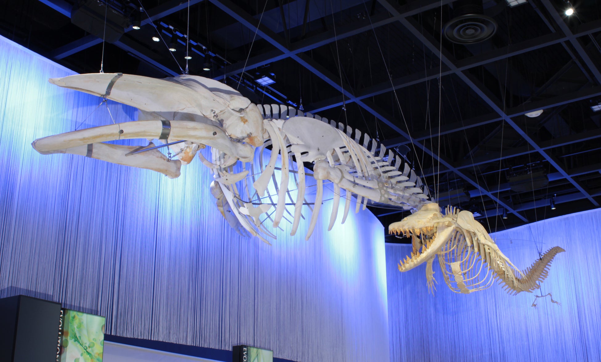 【NEMU RESORT】三世代旅行で楽しめる自然体験が満載のNEMU RESORT! 日帰りで楽しめるサマープランも販売します!