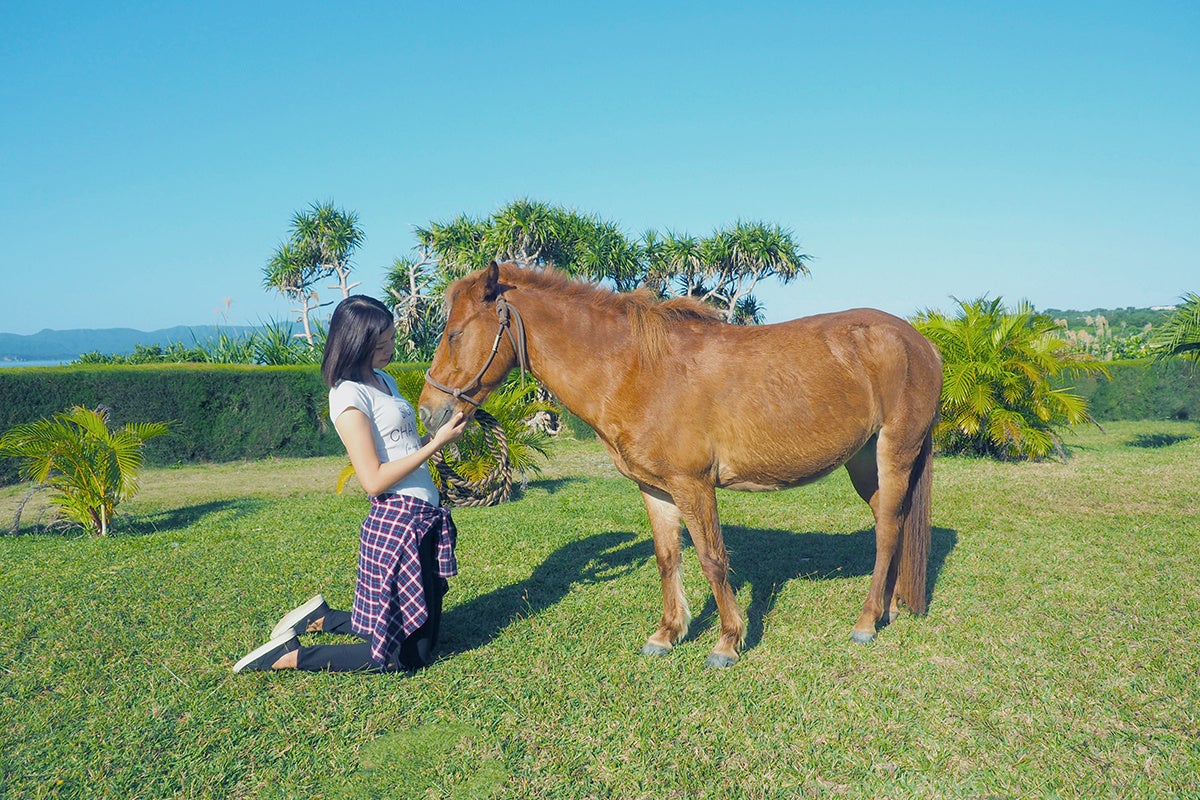 【OPEN】森と花の絵本ミュージアムGarden Lei(ガーデンレイ) 開館しました《広島県世羅町》