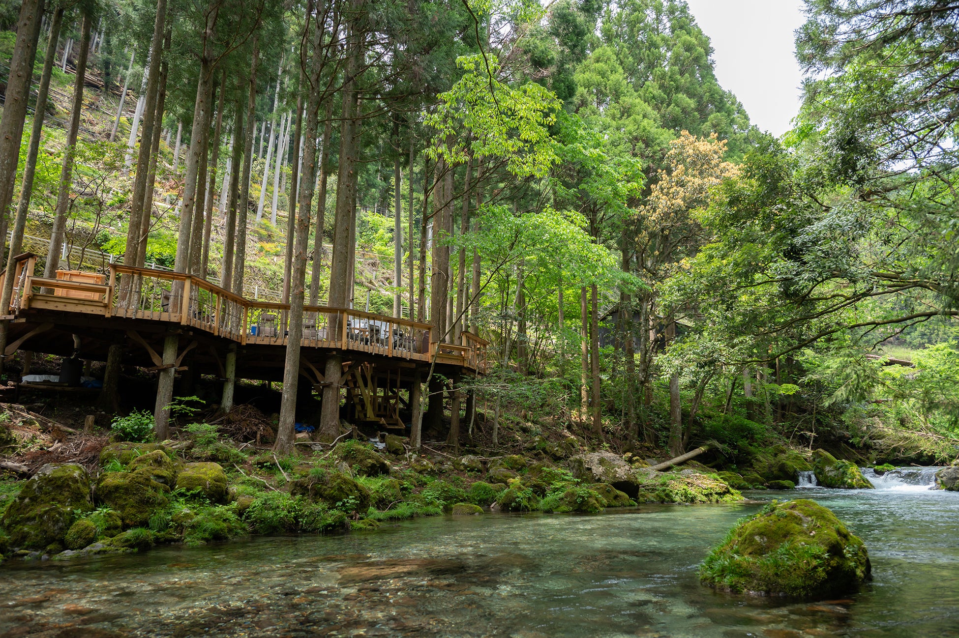 【グランドニッコー東京 台場】「ピーチアフタヌーンティーセット」提供期間: 2025年7月1日(火)~8月31日(日)