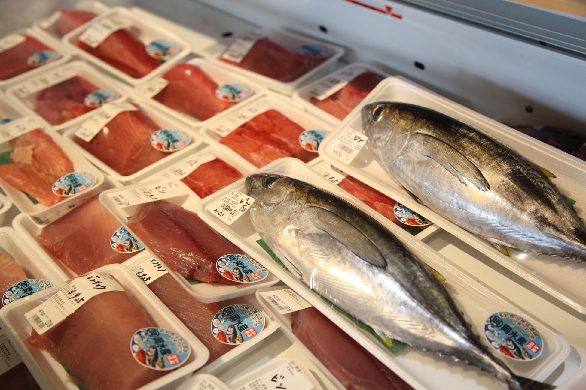 フェリーたかちほオリジナルグッズプレゼントキャンペーンを開催!!