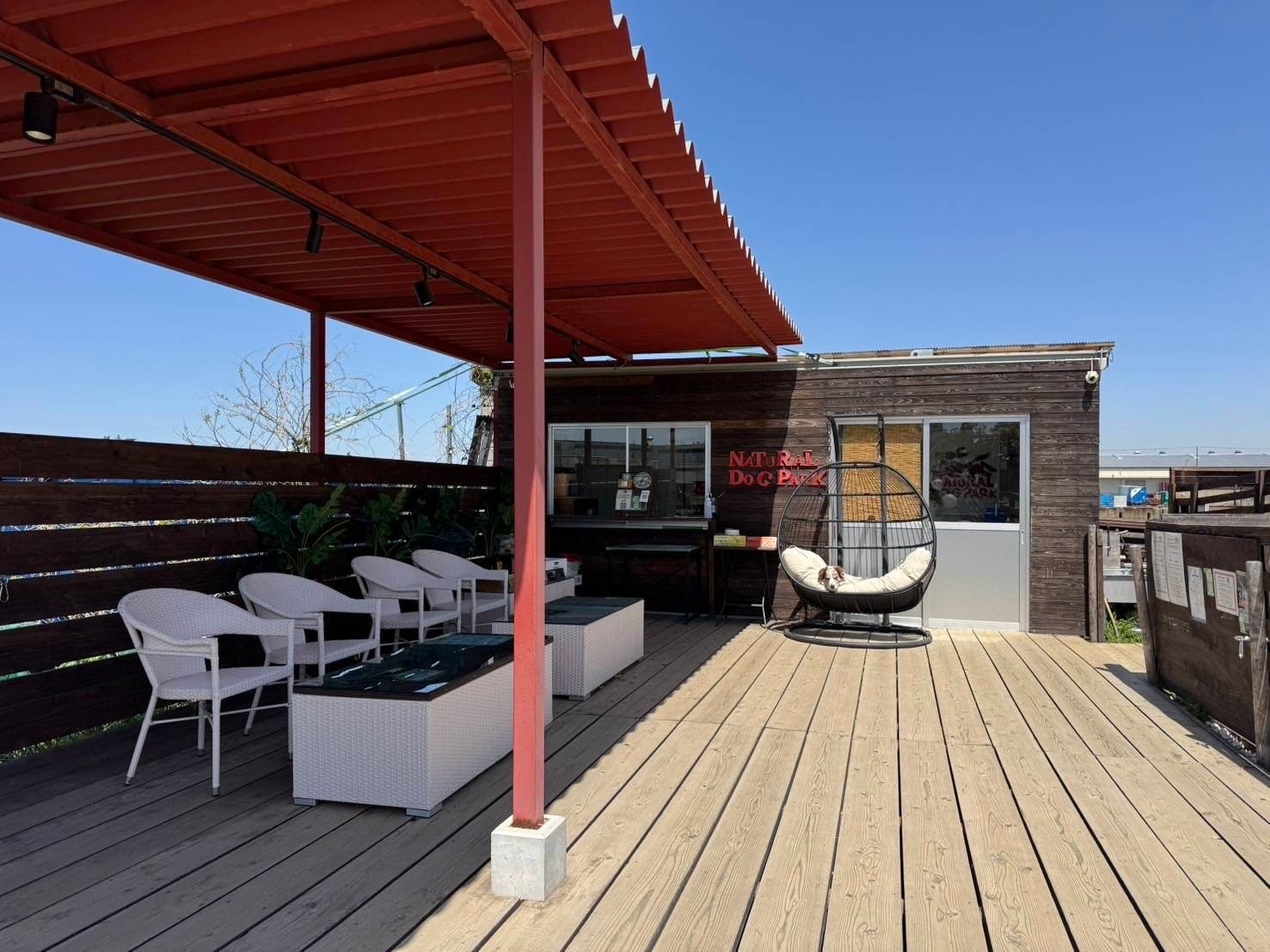 大阪心斎橋で生牡蠣と赤海老を濃厚出汁で味わう!えび牡蠣しゃぶしゃぶにトマトえび出汁が2025年5月に新登場!