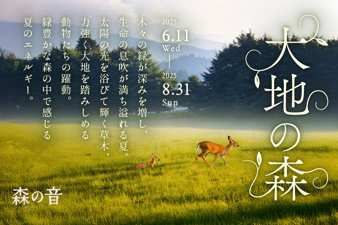 【東京九州フェリー】7月21日(月・祝)に新門司港にて海の日船内見学会を行います!
