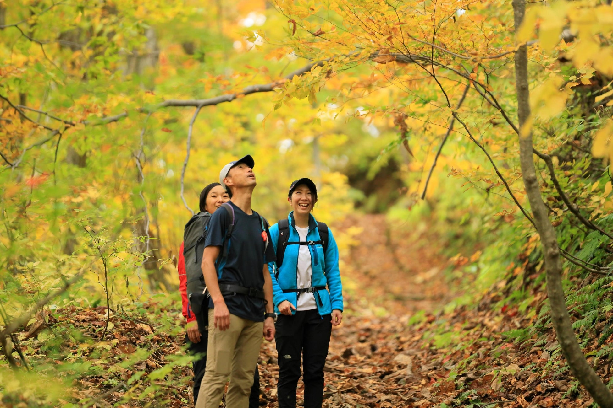【ウェスティン都ホテル京都】暑い夏を肉で乗り切る!豪華和洋中の肉料理が勢ぞろい ホテルで味わう「夏の肉フェス」ブッフェ