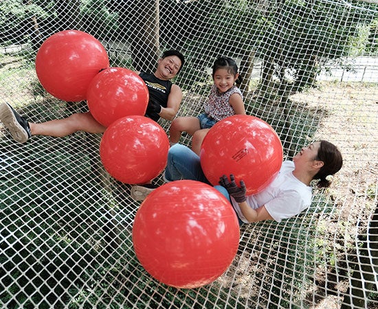 リブマックスリゾート熱海フォレスト 2025年5月31日にリブランドOPEN