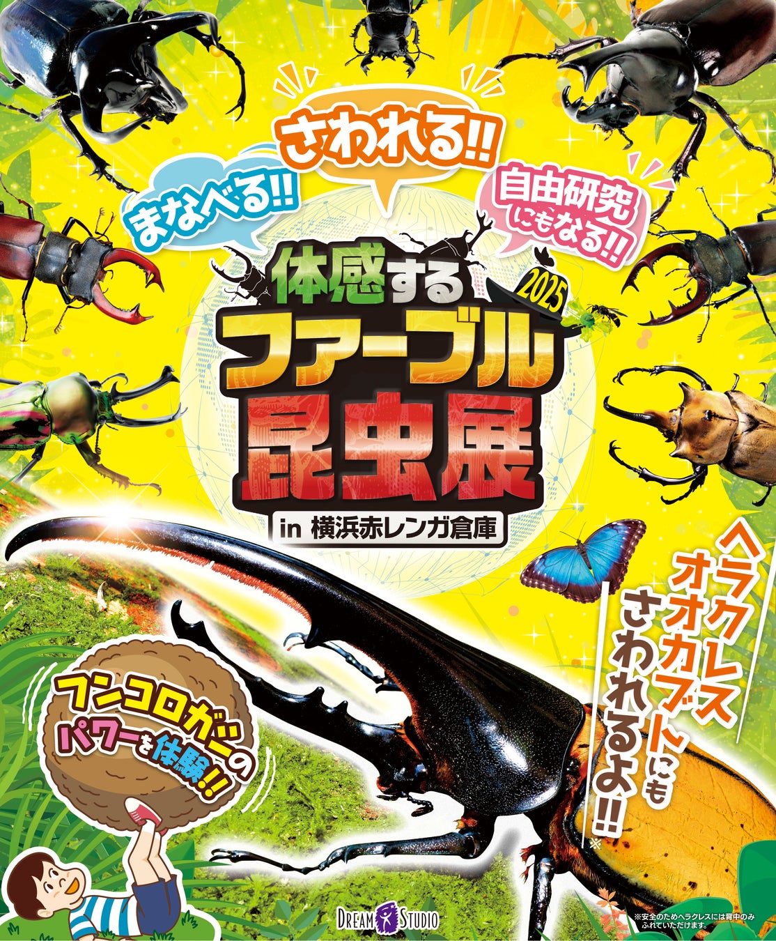 『長岡まつり大花火大会バスツアー』参加者募集を6月14日（土）より開始！