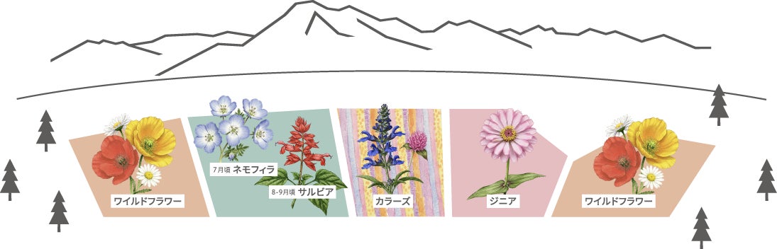 【本日ドキュメンタリー公開】森と、ピアノと、　「計画」を手放すことから始まった、ものがたり。
