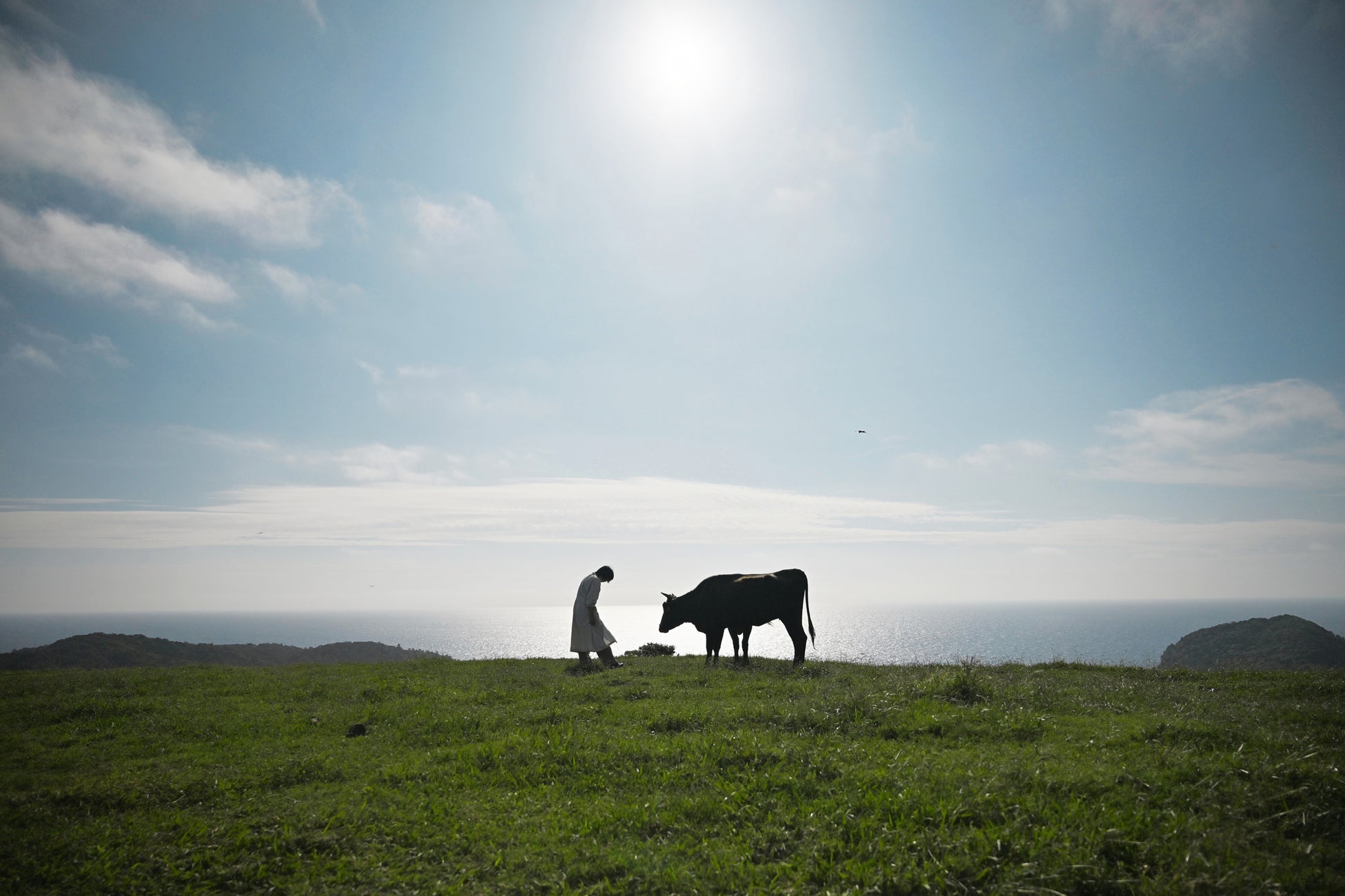 【2025年7月14日オープン】奈良県、ならまち元林院地区のお茶屋を改装した「鰻屋 梅鉢 菊水楼」