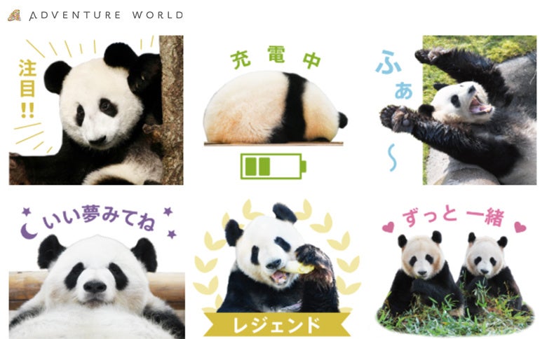 2025年 全⽇本スーパーフォーミュラ選⼿権第6戦・第7戦 取材に関するご案内