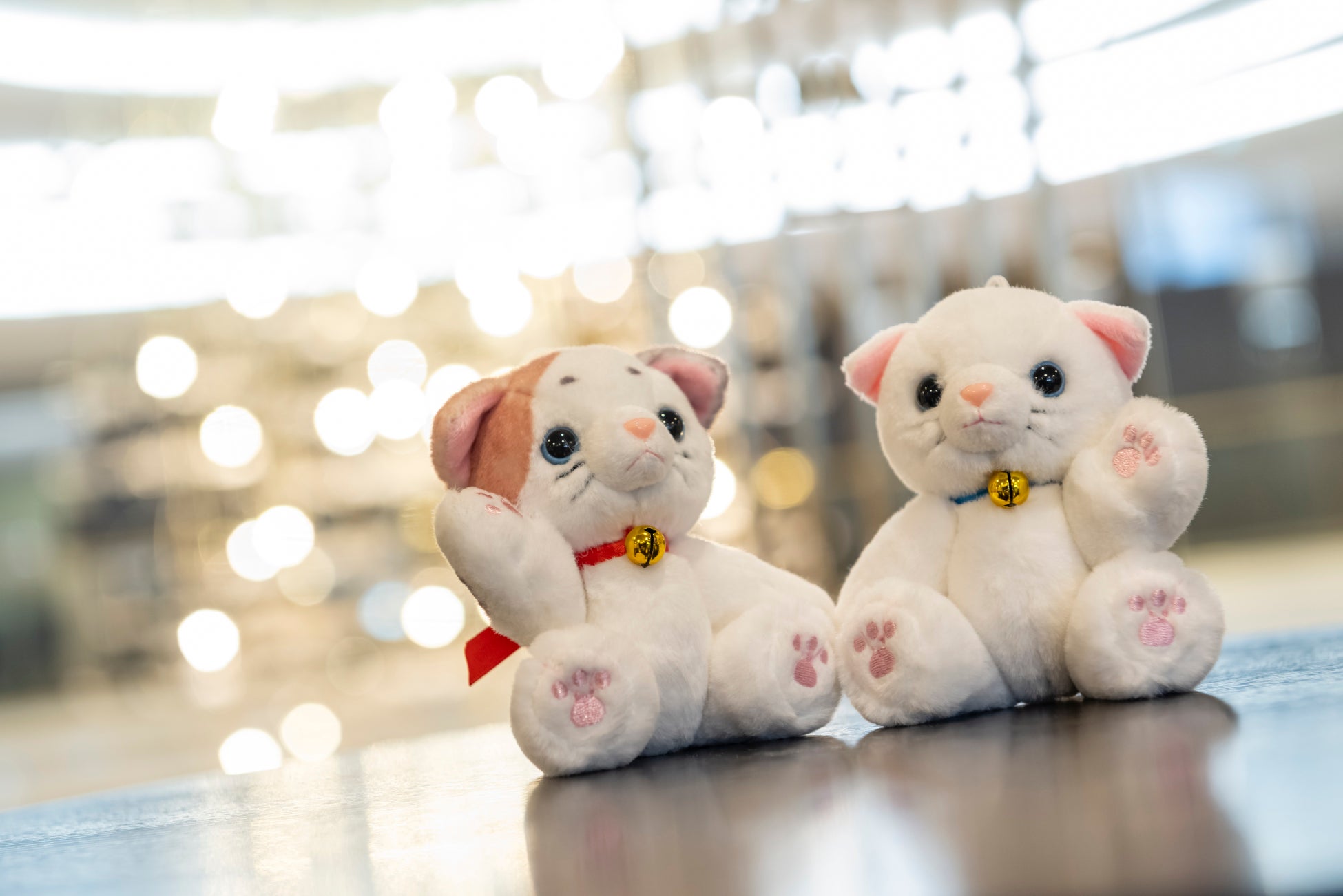 「DMMかりゆし水族館」が直販公式チケットシステムを刷新　観光DXプラットフォーム「Nutmeg」導入で直販を強化