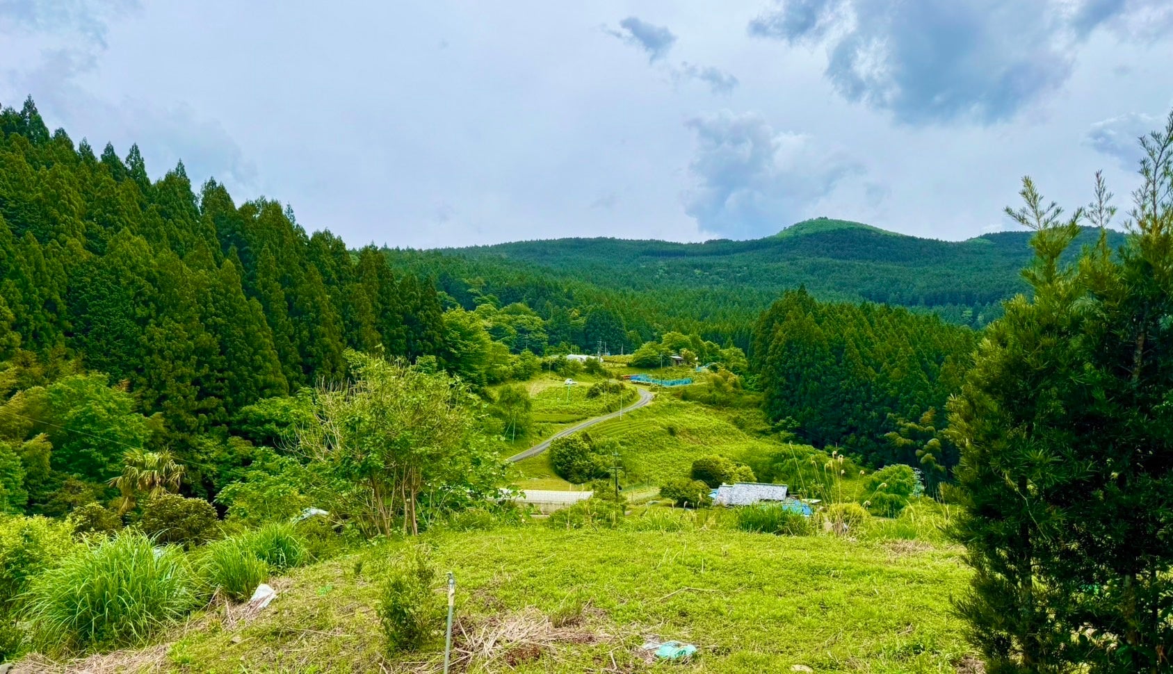 森は“所有”から“レンタル”する時代へ。都市と自然が交わる静岡県天竜区に、プライベートな森林空間が誕生。