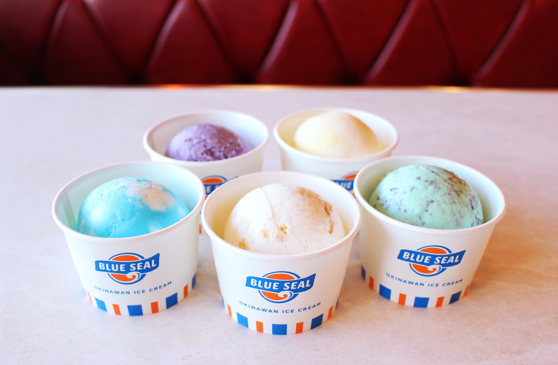 【内覧会のご案内】6/26(木)びわ湖が広がる山頂展望スポットびわ湖テラス Café360内覧会