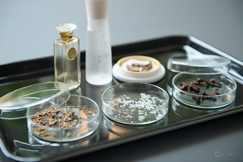 「トミカ博2025 in TAIWAN」 2025年6月28日(土)~9月14日(日)開催