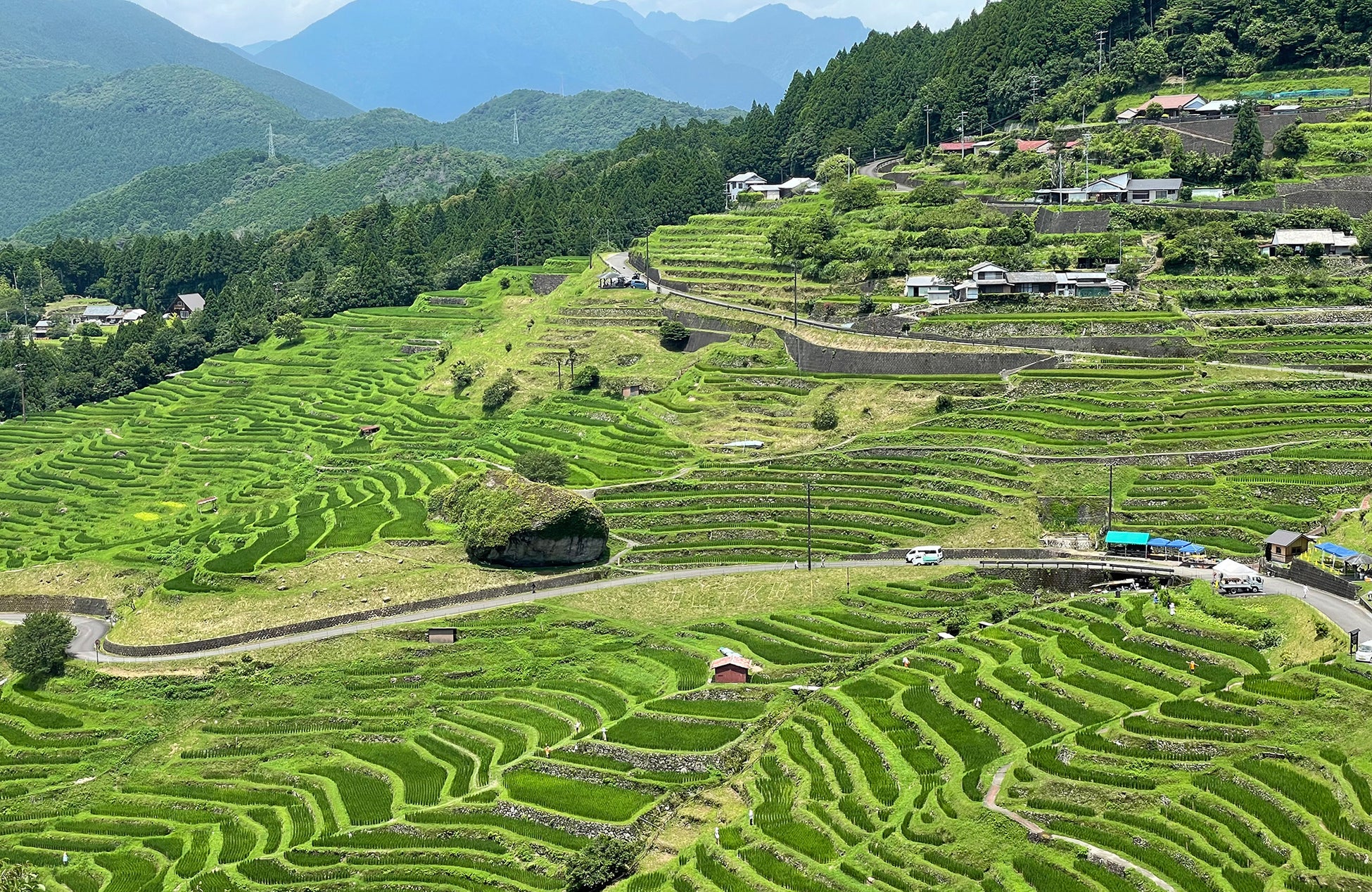 レトロ×ネオンなヤタイがずらり！“ネオエンニチ”の全貌がついに明らかに！7月11日（金）スタートの「ピューロランドネオナツマツリⅡ」第2弾情報公開