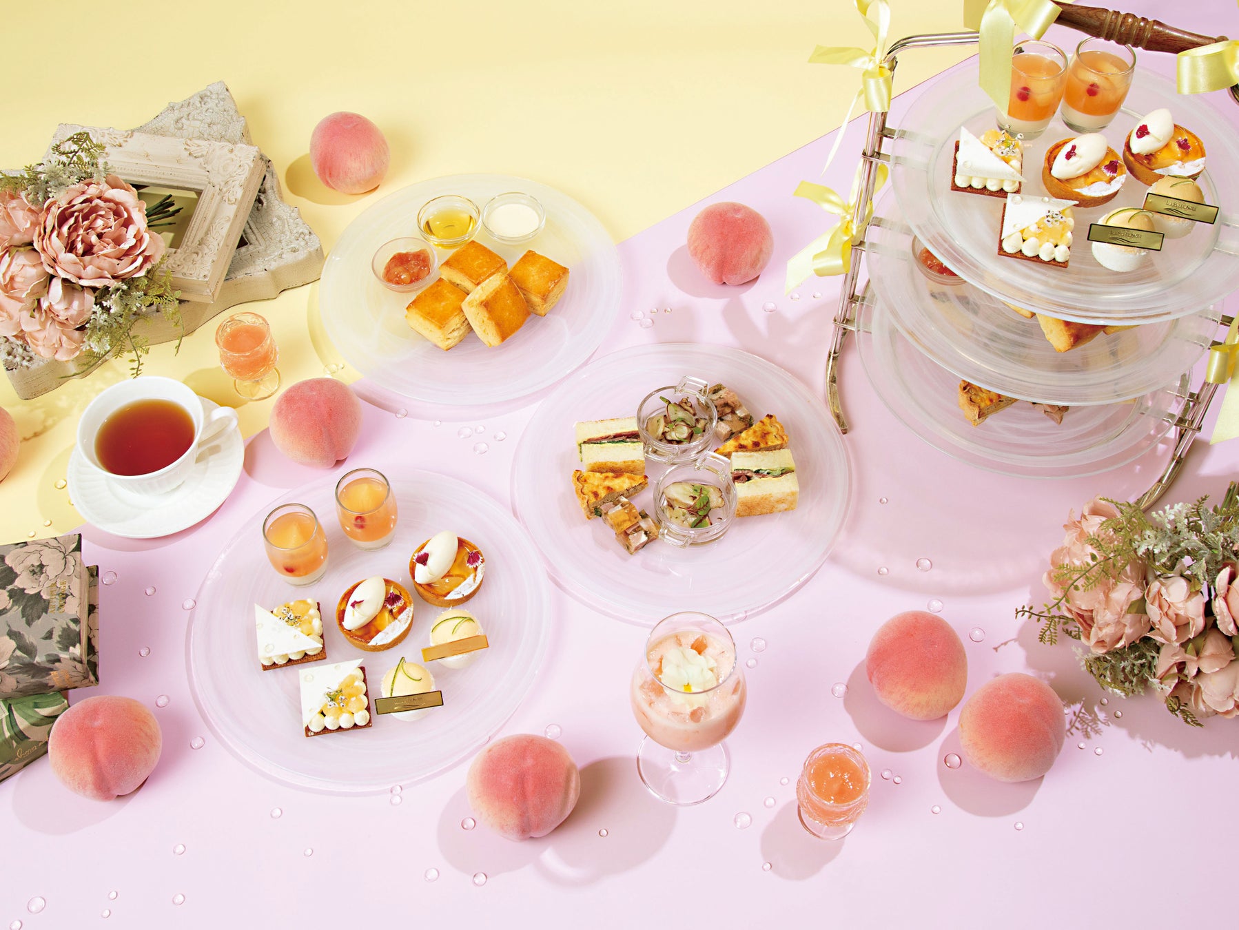 夏休みに鳥取県・大山の自然に触れ、学ぶ、自由研究におすすめなアクティビティを実施!川について学ぶツアーや星空観測、林道でクイズラリーなど多様なプログラムを開催【メルキュール鳥取大山リゾート&スパ】