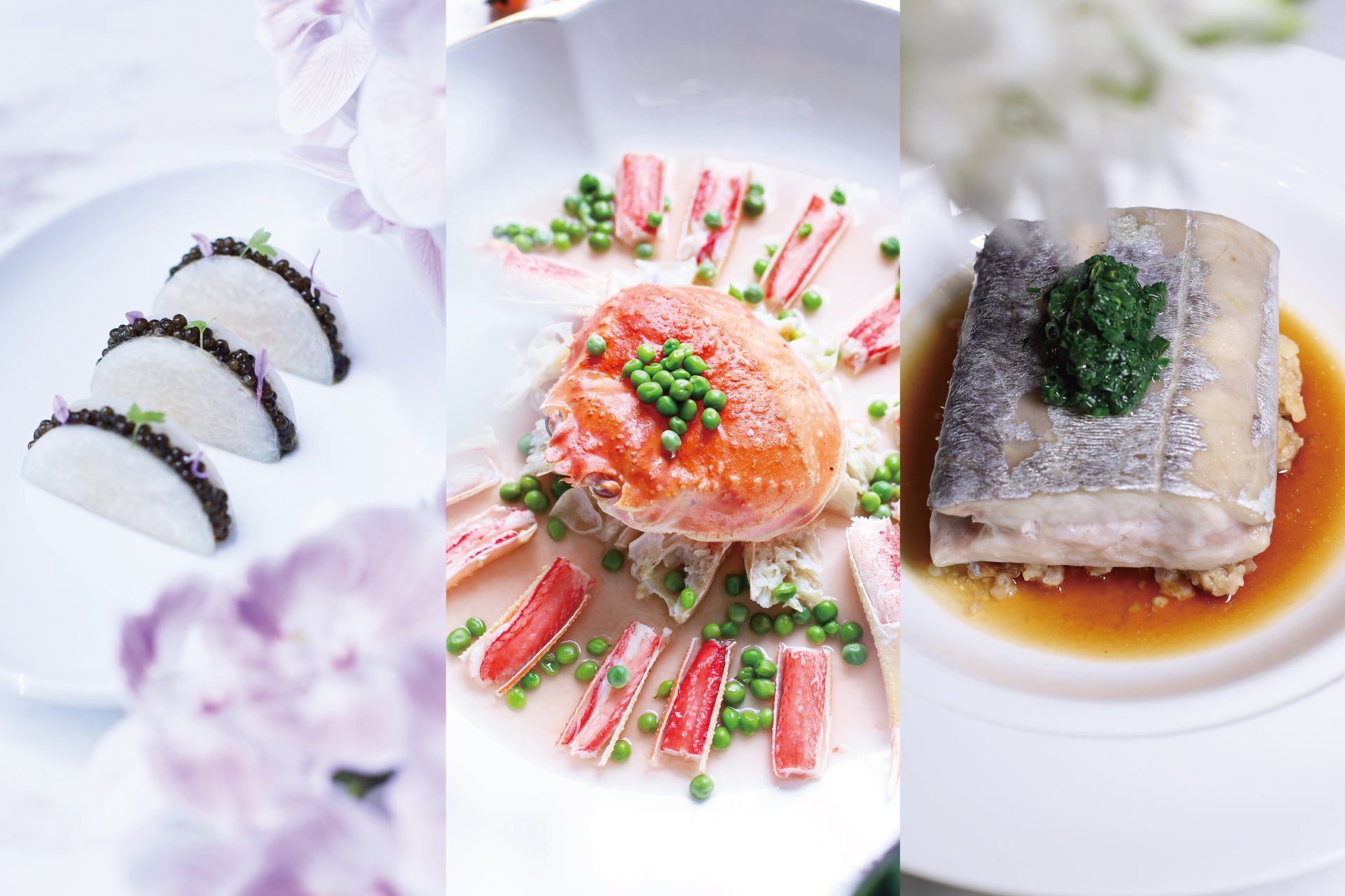 居住人口500名未満の村にアーティスト・クリエイターが短期移住!?「Katsurao Collective(カツラオコレクティブ)」2025 プログラムが始動