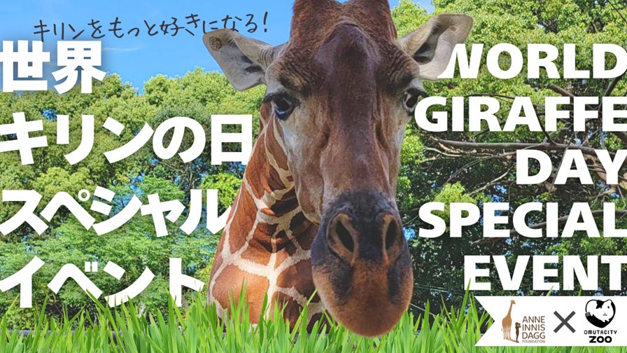 星野リゾートが運営する都市ホテルブランド「OMO(おも)」のCMがGoogle社主催の広告賞「YouTube Works Awards Japan 2025」の部門賞を受賞