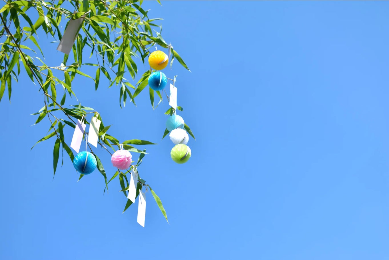 【2025-26シーズン】アライマウンテンリゾート、滞在中滑り放題のリフト券付き宿泊プランを販売!