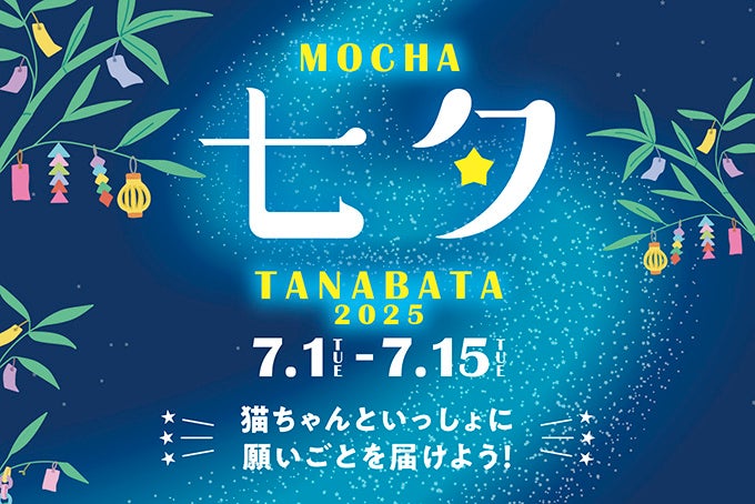 猫カフェMOCHA全店で初の七夕イベント開催決定！かわいい猫と一緒に短冊に願いを込めようInstagram投稿でステキな賞品が当たるチャンスも「MOCHA七夕2025 〜にゃんざくに願いを込めて 〜」