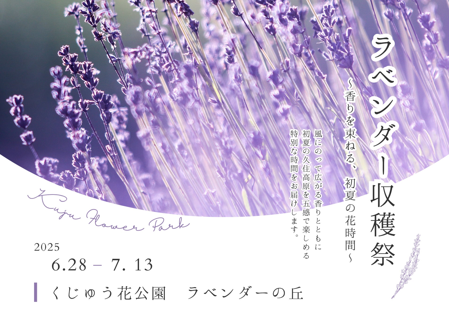 くじゅう花公園ラベンダー収穫祭　〜香りを束ねる、初夏の花時間〜