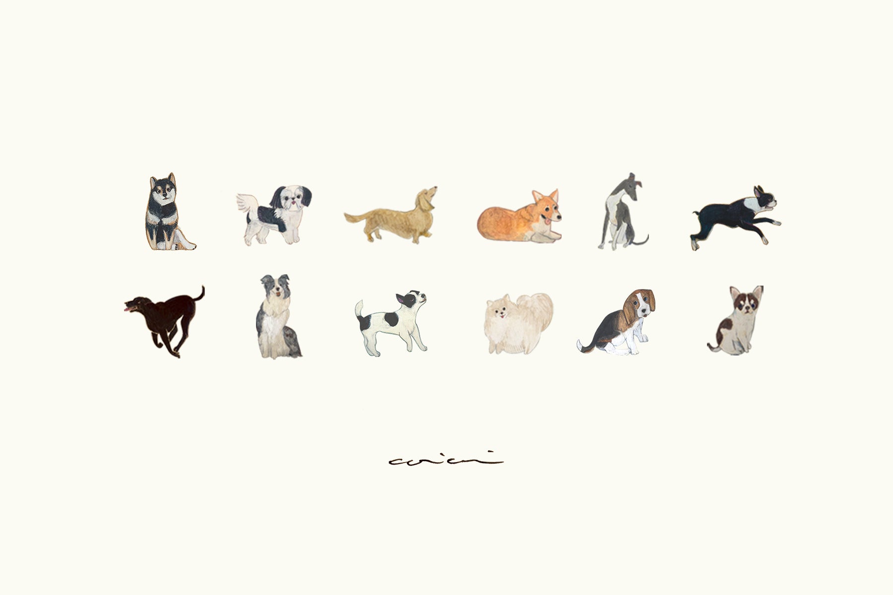 【全12犬種企画】同犬種の輪がつながる！リアルな“犬友”ができるオフ会