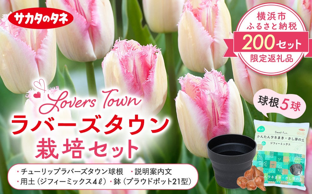 暮らしへの彩りを 横浜市ふるさと納税返礼品で