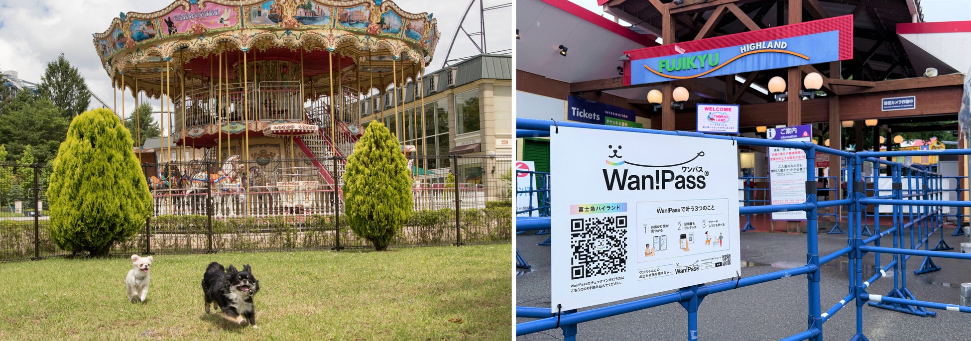 【富士急ハイランド】スマホひとつで愛犬とスマート入園！“わんちゃんとのお出かけ支援アプリ”「Wan!Pass（ワンパス）」を導入～飼い主交流イベントの主催者募集も開始～