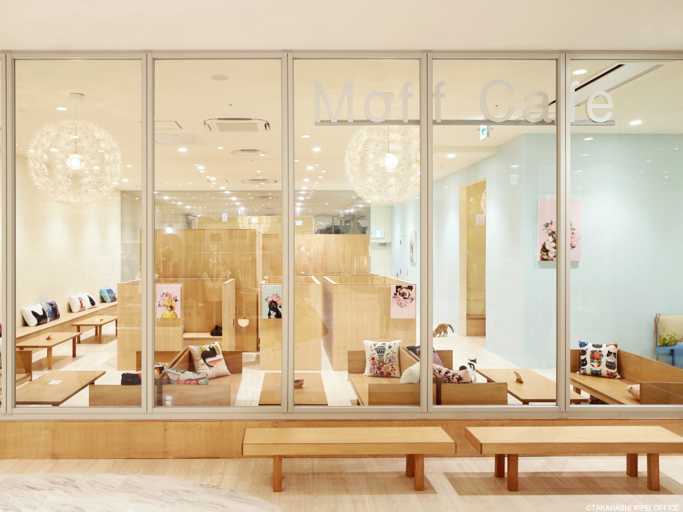 今夏”にゃん”とリニューアルOPEN！『Cat Café MOFF 高崎オーパ店』