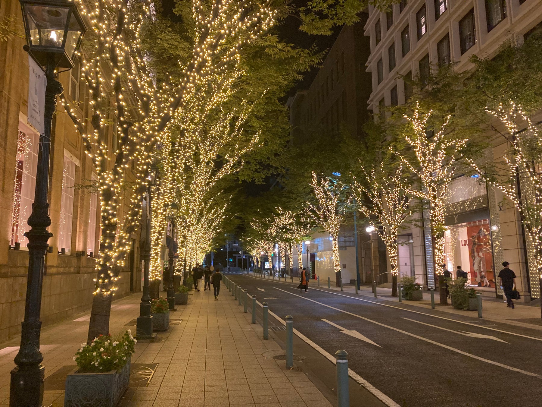 さんふらわあ夏休みファミリークルーズを実施します!
