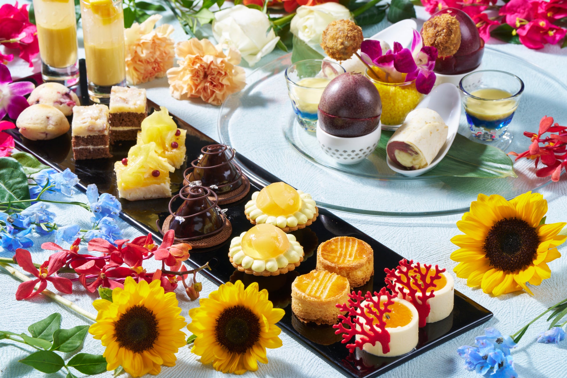 図解で「教育」と「集客」を両立する―動物園・水族館向け新サービス「いきものずかい」提供開始