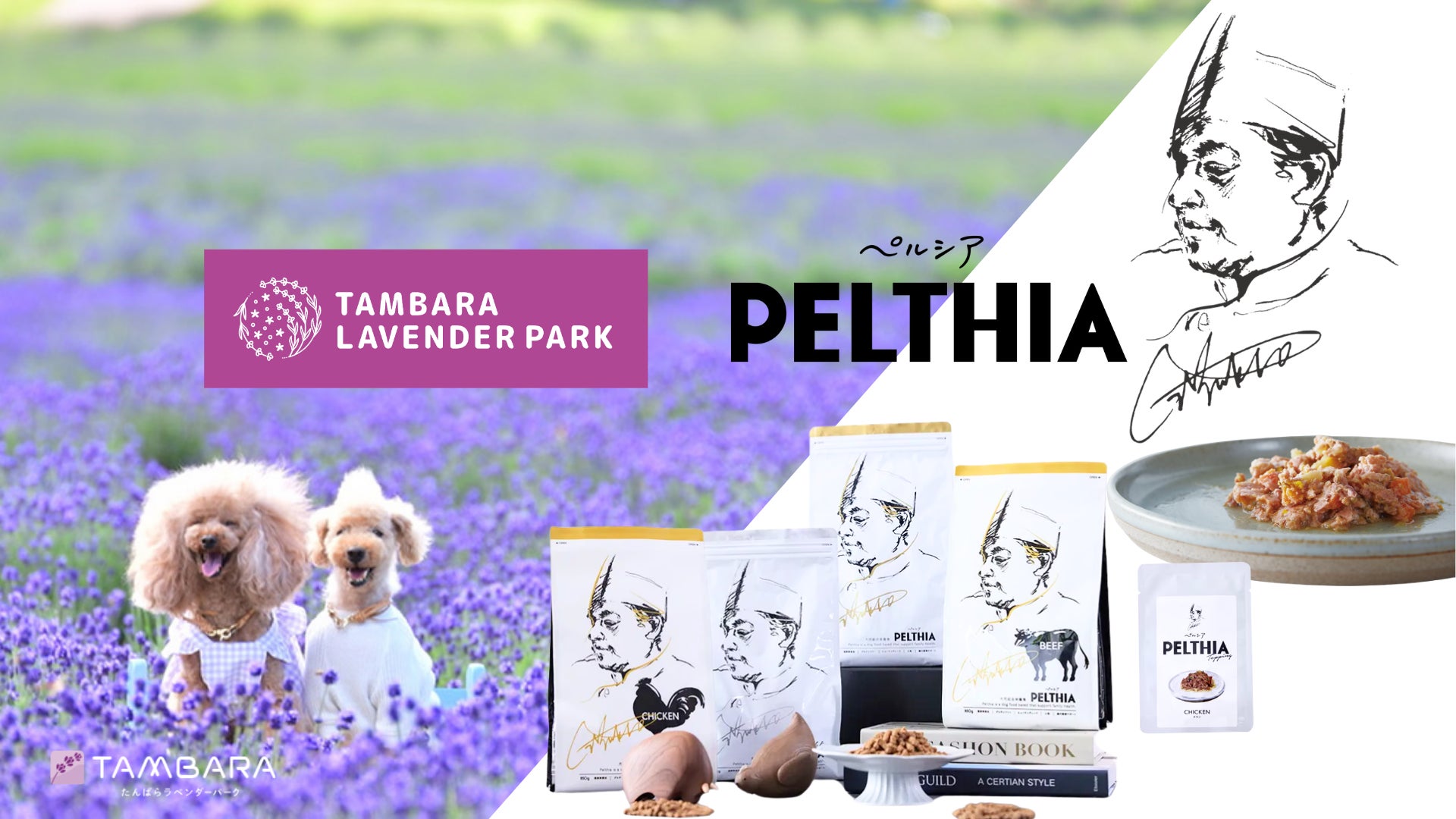 PELTHIA×たんばらラベンダーパーク！プレミアムペットフードで愛犬との最高の休日を。