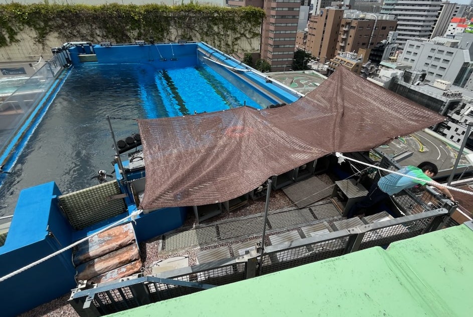 『サンシャイン水族館の熱中症対策2025』